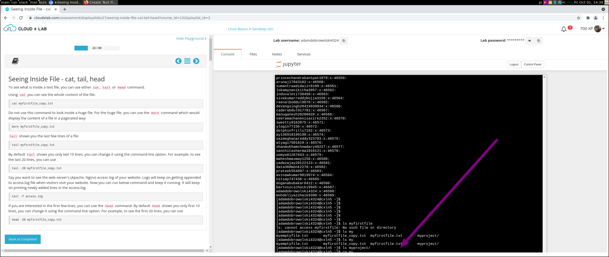 Create Text File Using Nano | Automated hands-on| CloudxLab